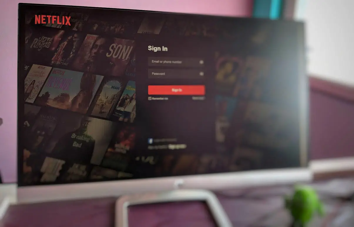 Netflix in Desktop screen