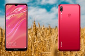 Huawei Y7 Pro 2019 with Wheat Field Background