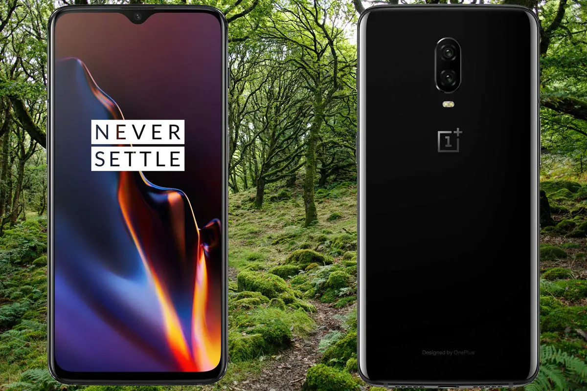 OnePlus 6T with Trees background