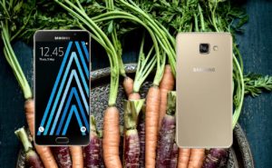 Samsung A5 2016 with Carrots