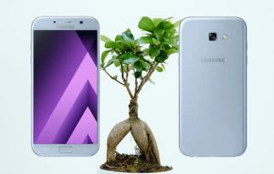 Samsung A7 2017 With Plant Root Background