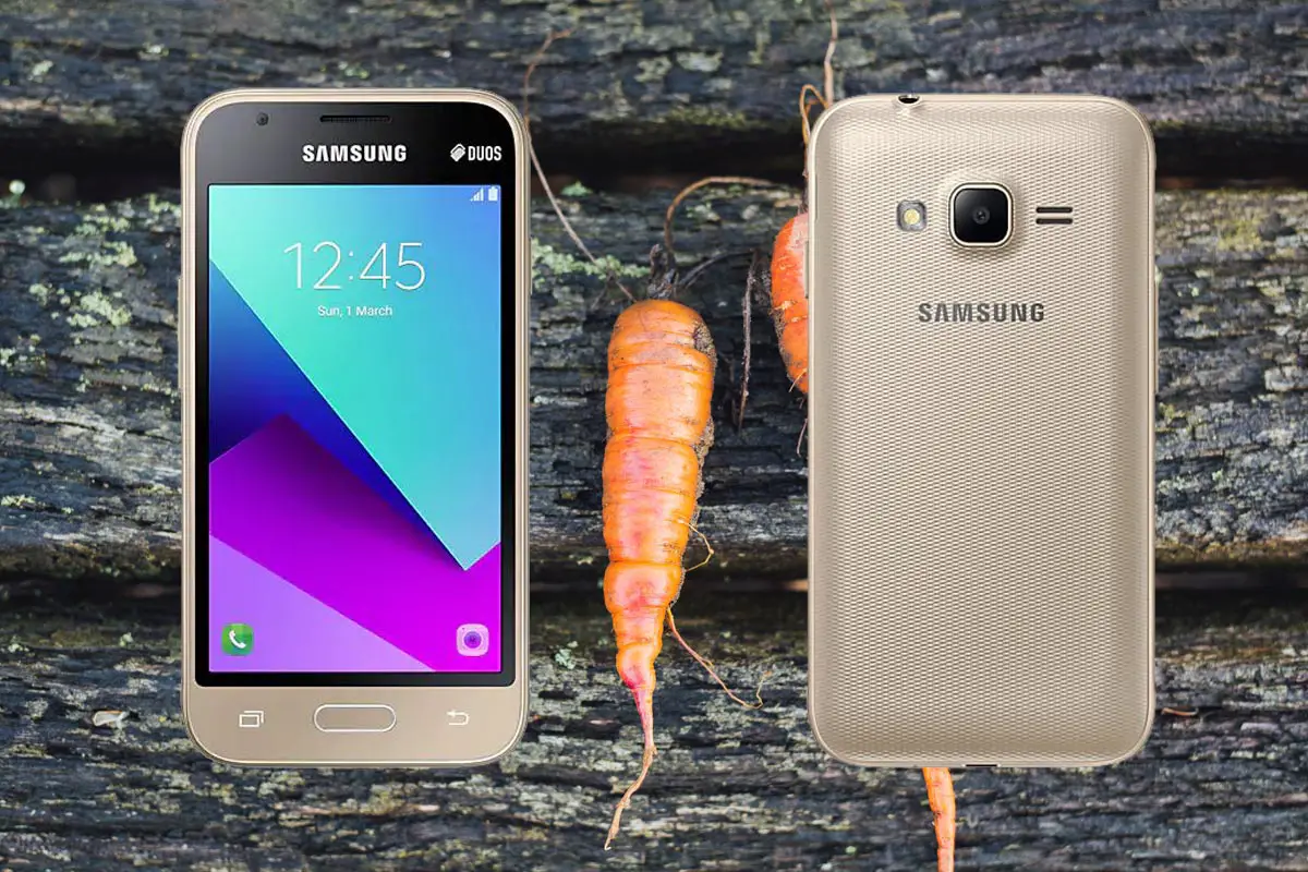 Samsung Galaxy J1 mini prime with Carrot Background