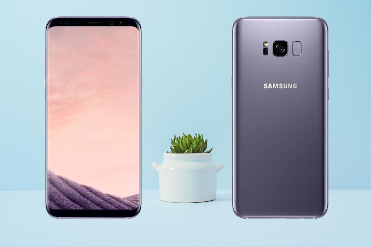 Samsung Galaxy S8 Plus with Small Plant