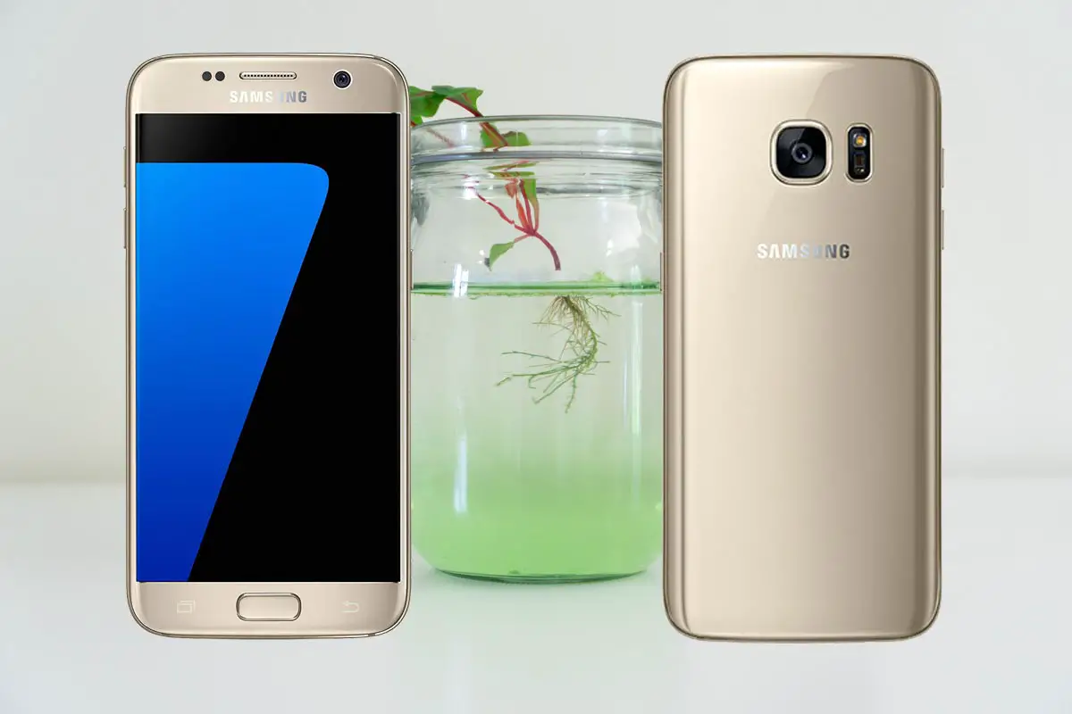 Samsung S7 with Bottle Plants