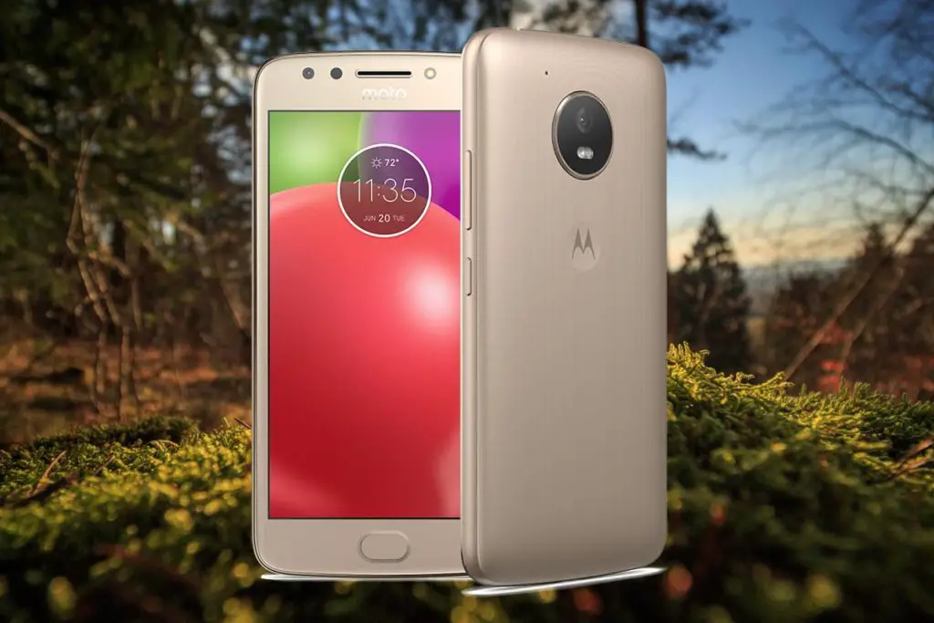 Moto E4 with Forest Focus Background