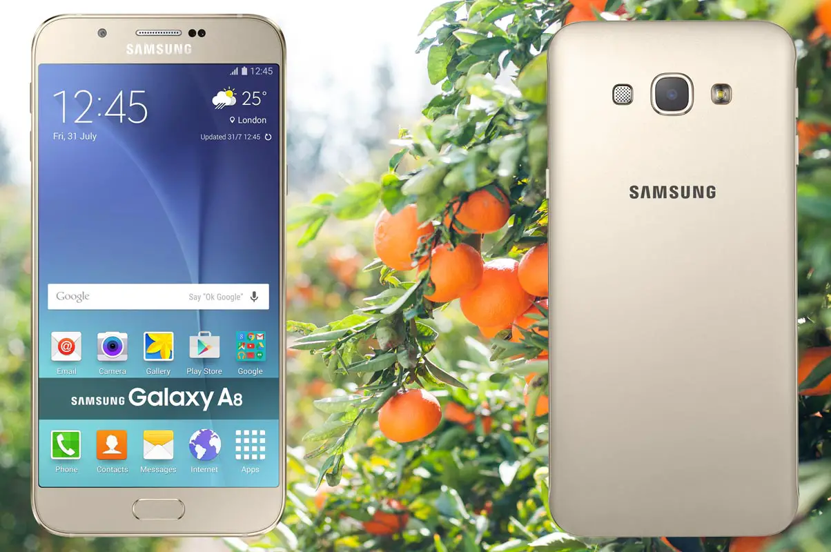 Samsung A8 with Orange Tree Background