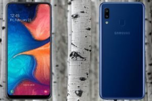 Samsung Galaxy A20e with Tree Background