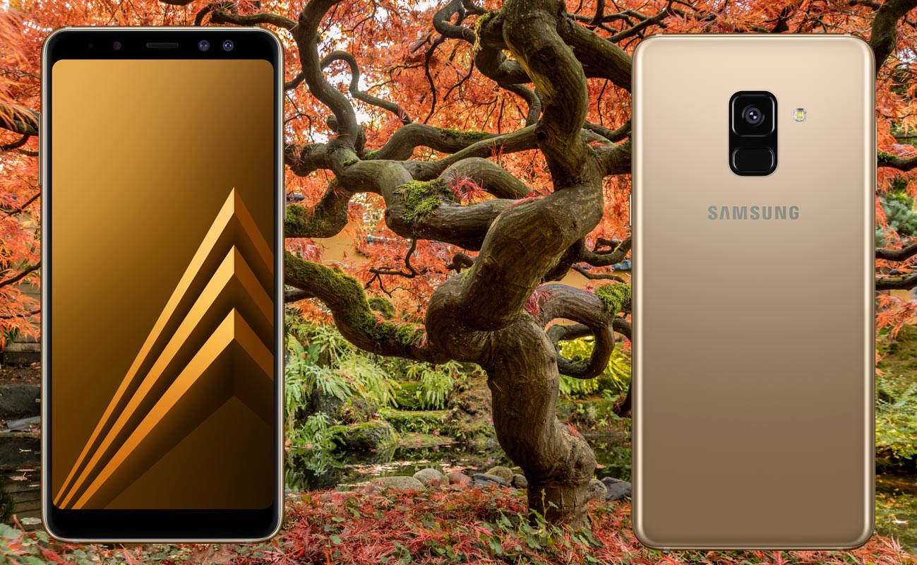 Samsung Galaxy A8 with Japan Maple Tree