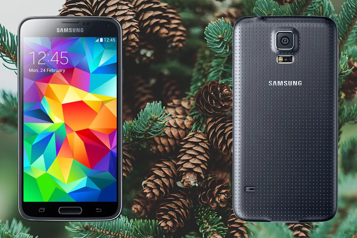 Samsung S5 with Pine Tree Background