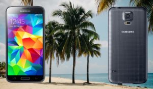 Samsung S5 Plus with Beach Palm Tree Background