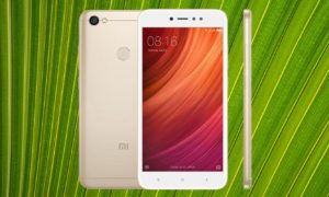 Xiaomi Redmi Y1 with Leaf Background