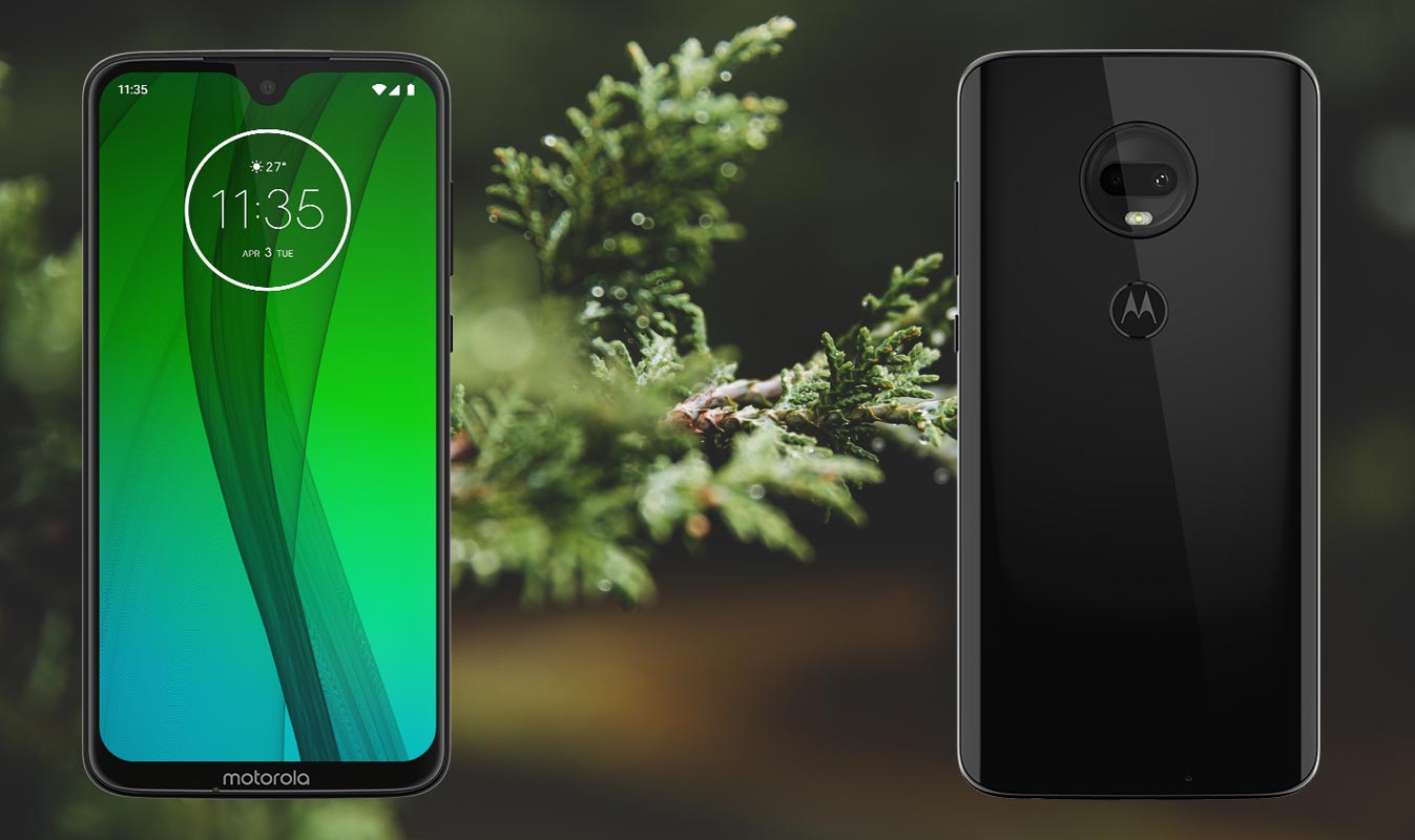 Moto G7 Plus with Tree Leaf Background