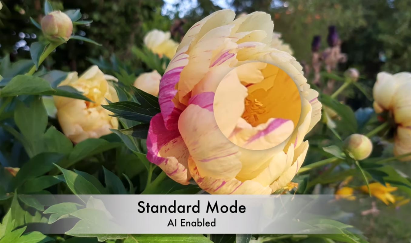 Motorola One Vision Flower AI Camera test