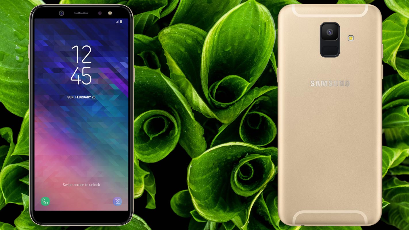 Samsung Galaxy A6 2018 with Leaf Bundle Background