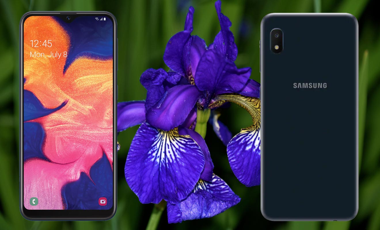 Samsung Galaxy A10e with Flower Background
