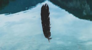 Feather falling in the Lake