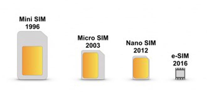 SIM Types