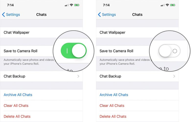 Whatsapp Camera Roll Enable iOS