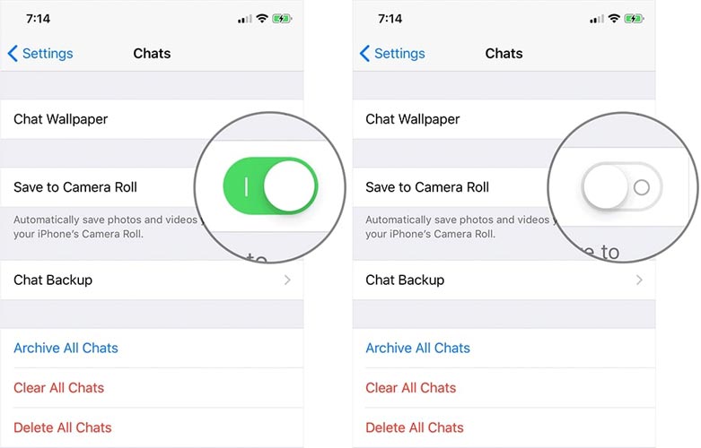 Whatsapp Camera Roll Enable iOS