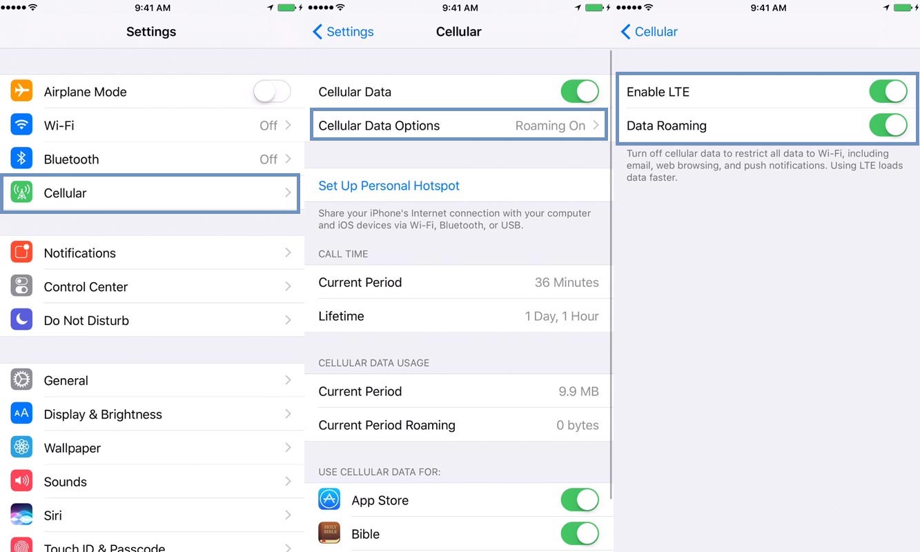 iPhone Cellular Check Settings