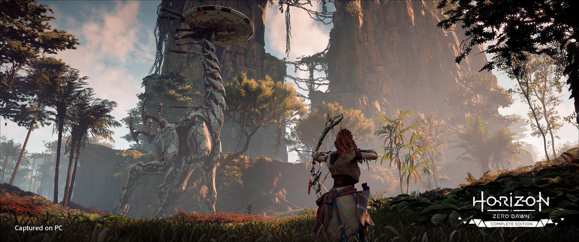 PC version Horizon Zero Dawn Screenshot 2