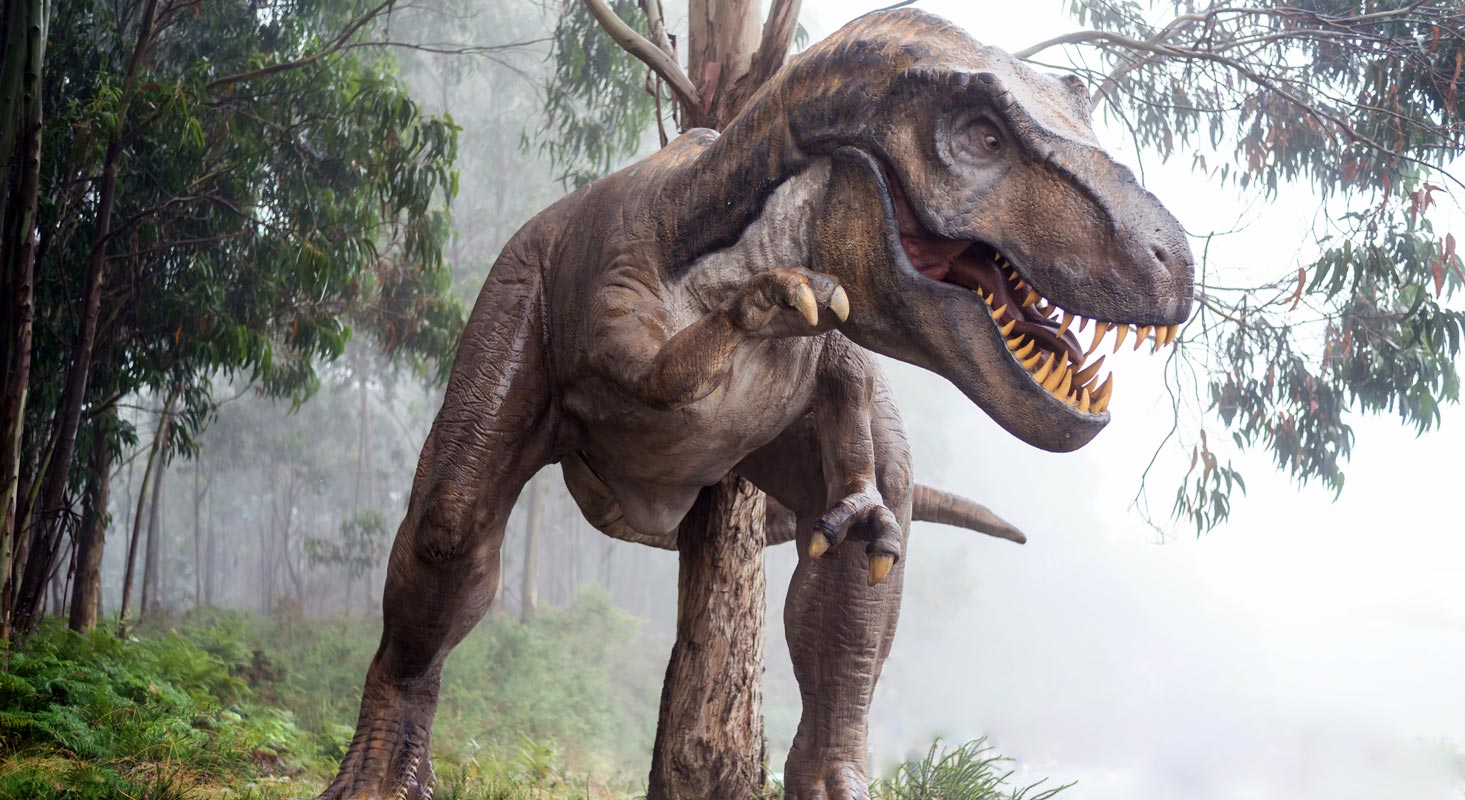 T Rex Google Dinosaurs AR 3D