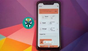 Magisk 20.4 Version Home Screen