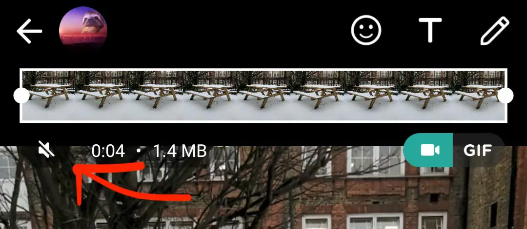 Mute Option in WhatsApp Video