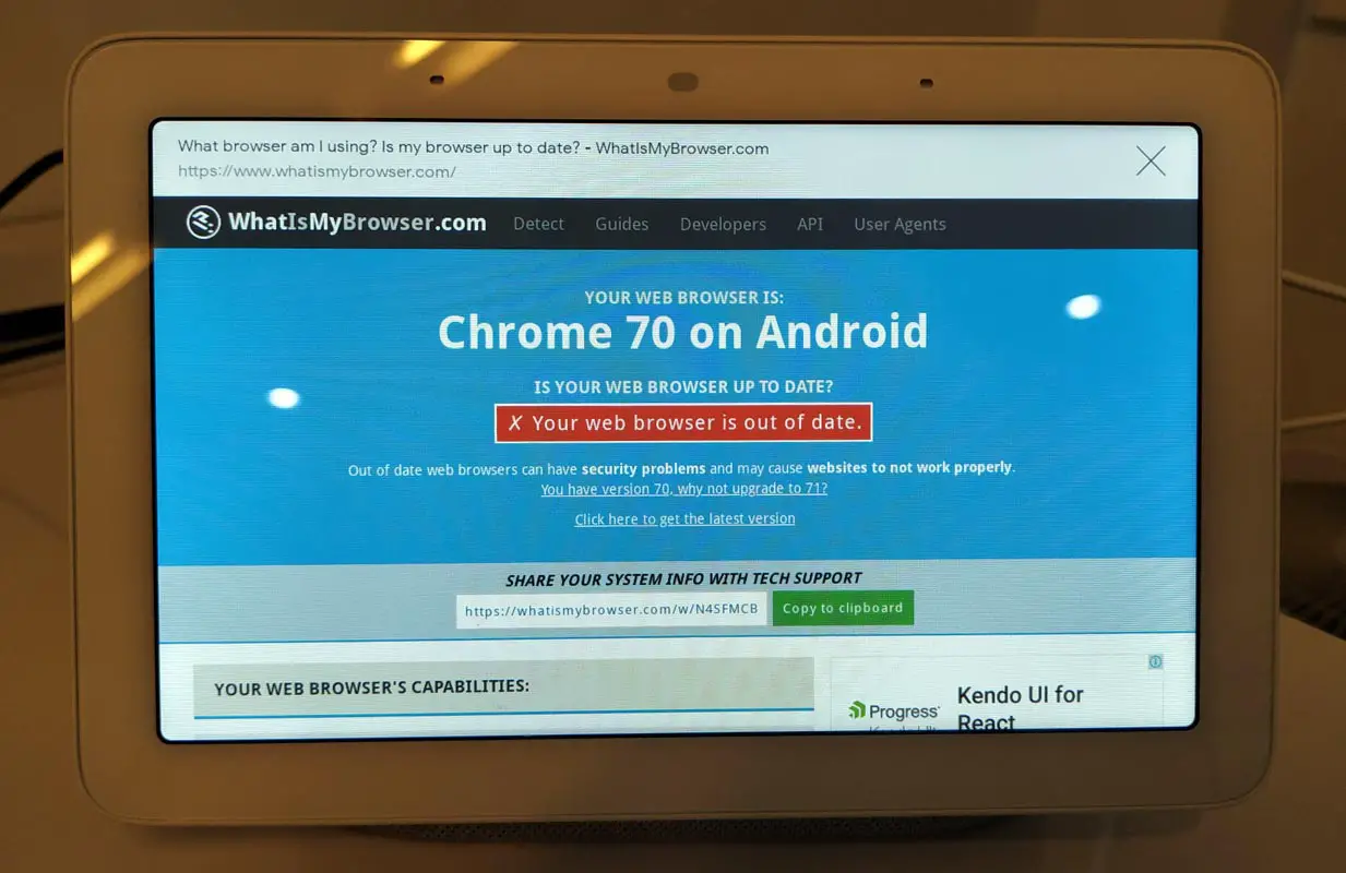 Google Nest Hub Old Browser