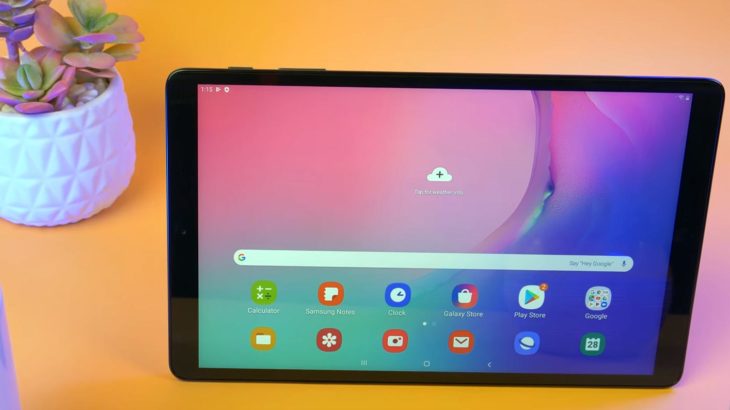 Samsung Galaxy Tab A 10.1 2019 Home Screen with Small Plants