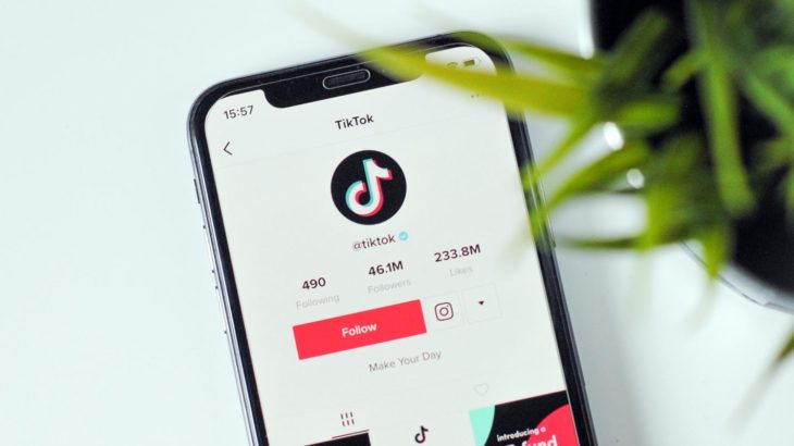 TikTok Official Page Like