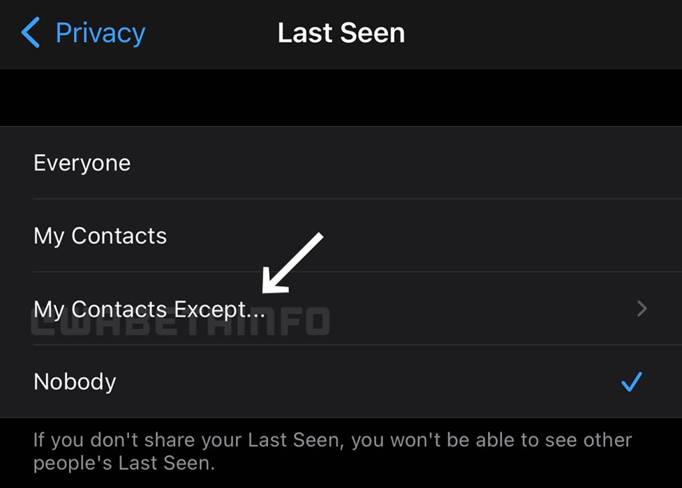 WhatsApp Last Seen to Specific Contacts Screenshot