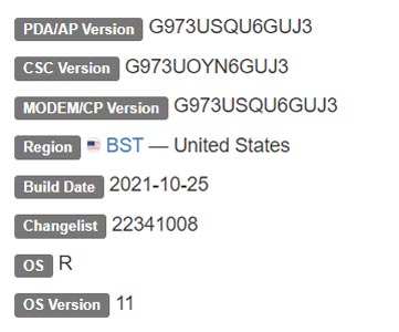 Samsung Galaxy S10 Boost Mobile Android 11 Firmware Details