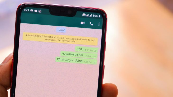Whatsapp Chat in Mobile Messages