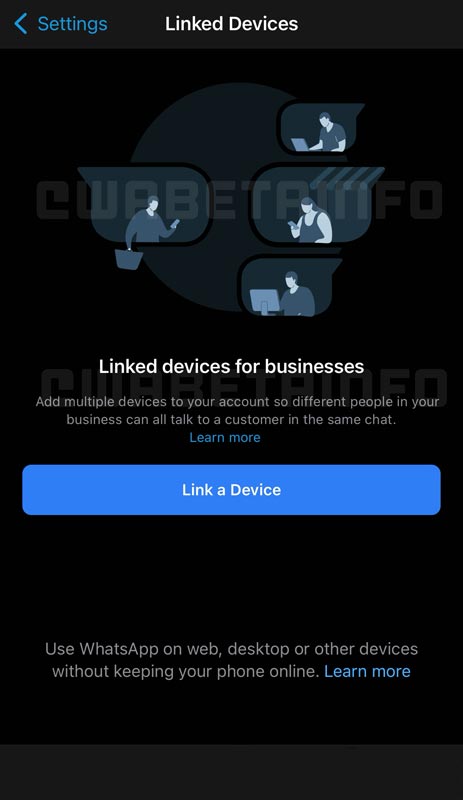 WhatsApp Business Additional Linked Devices