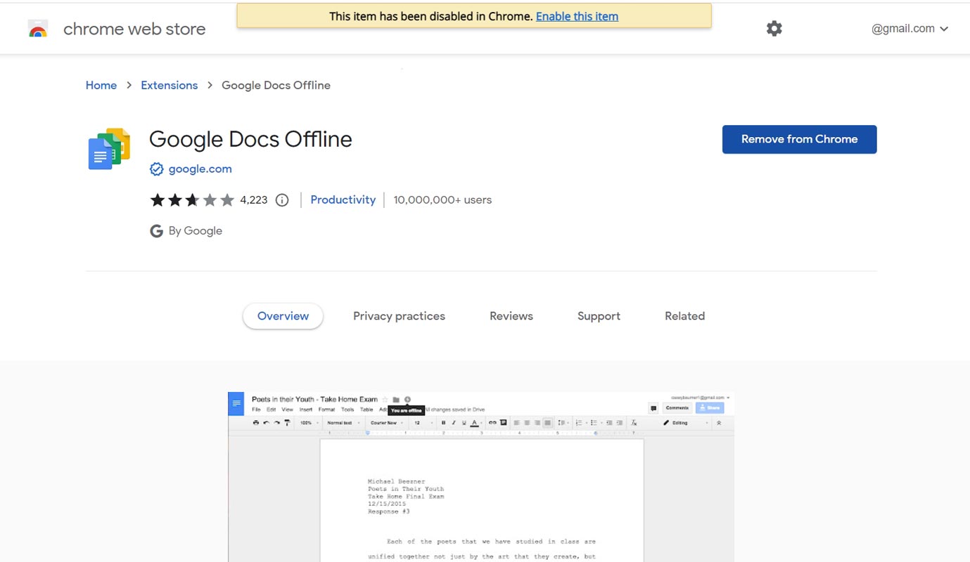 Google Docs Offline Extension