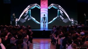 Tesla Humanoid Robot Entrance