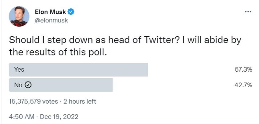 Elon Musk Step Down Twitter Poll