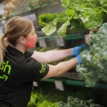 Amazon Fresh Store Vegetables