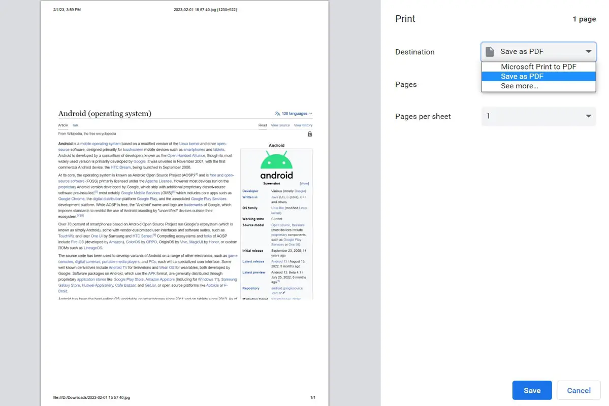 Save as PDF in Google Chrome