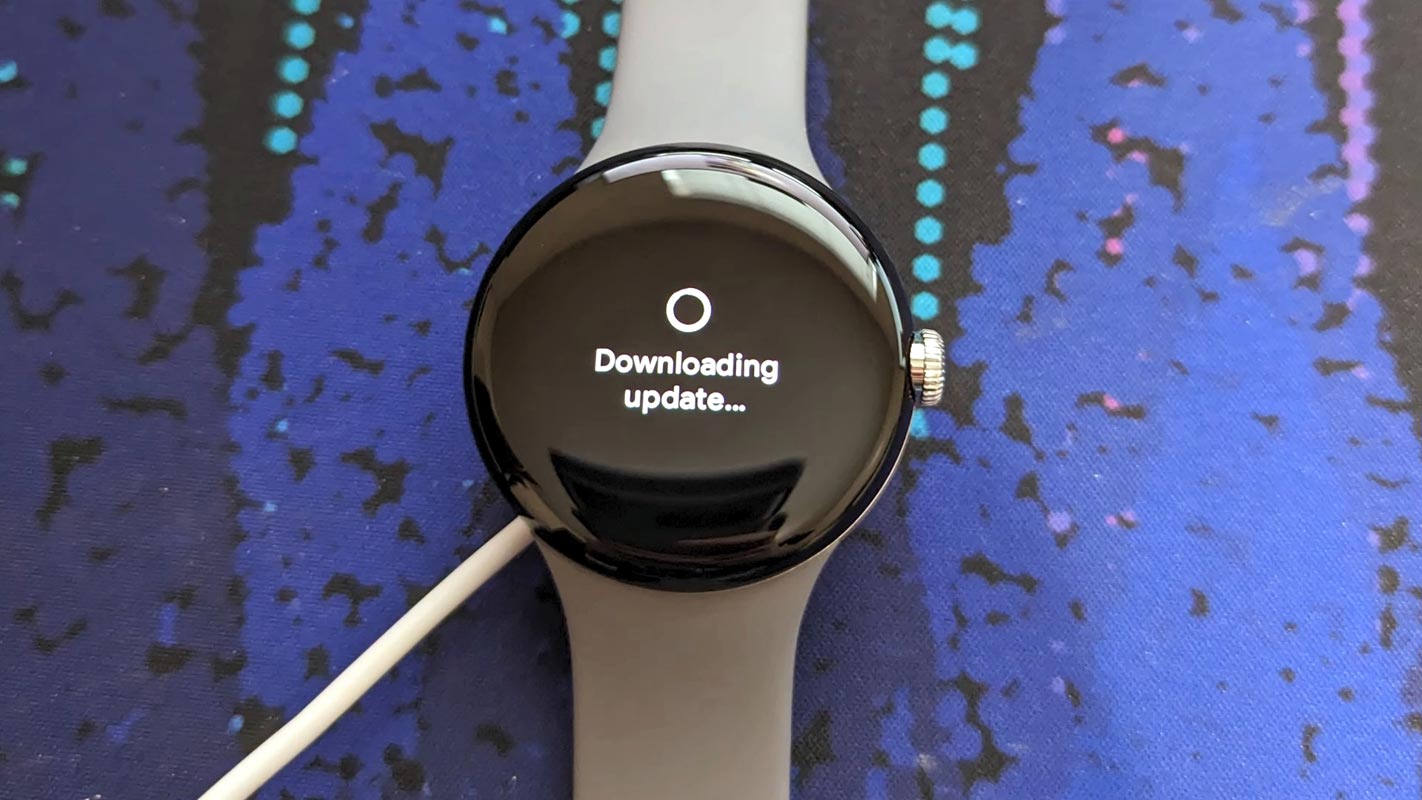 Google Pixel Watch Software Update