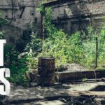 The last of us real world image