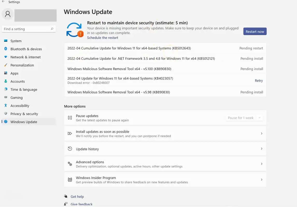 Windows 11 Update Settings