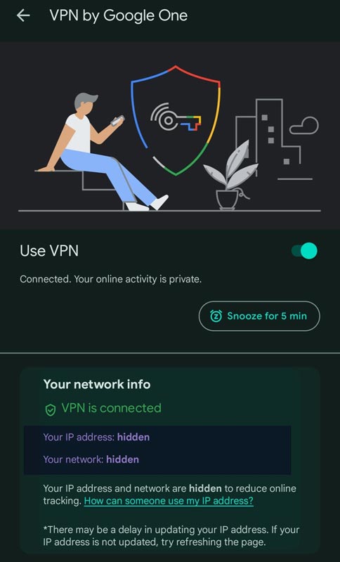 Google one VPN App IP Address and Network Screenshot