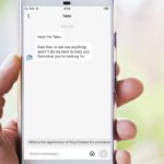 Tako Chatbot TikTok