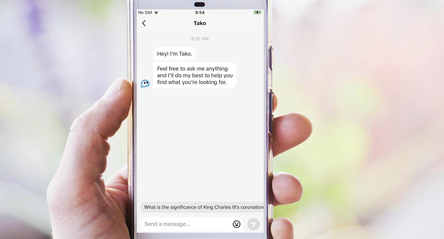Tako Chatbot TikTok