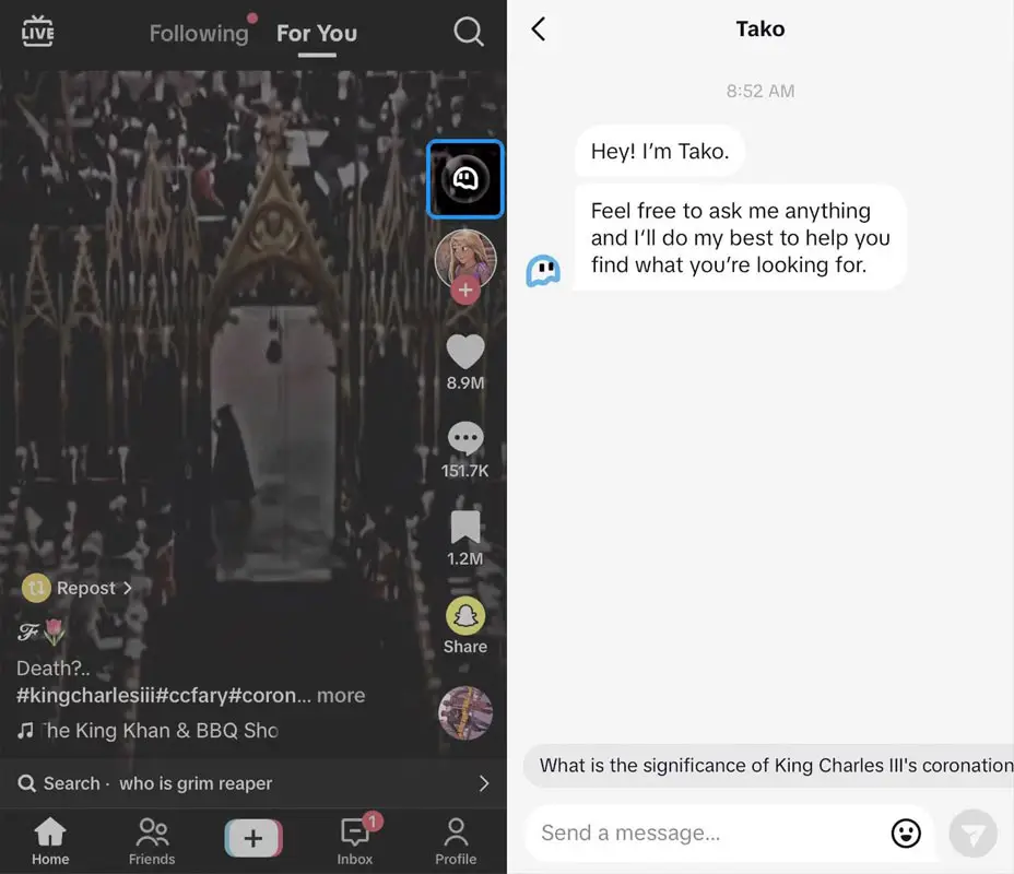 TikTok Tako AI Chatbot