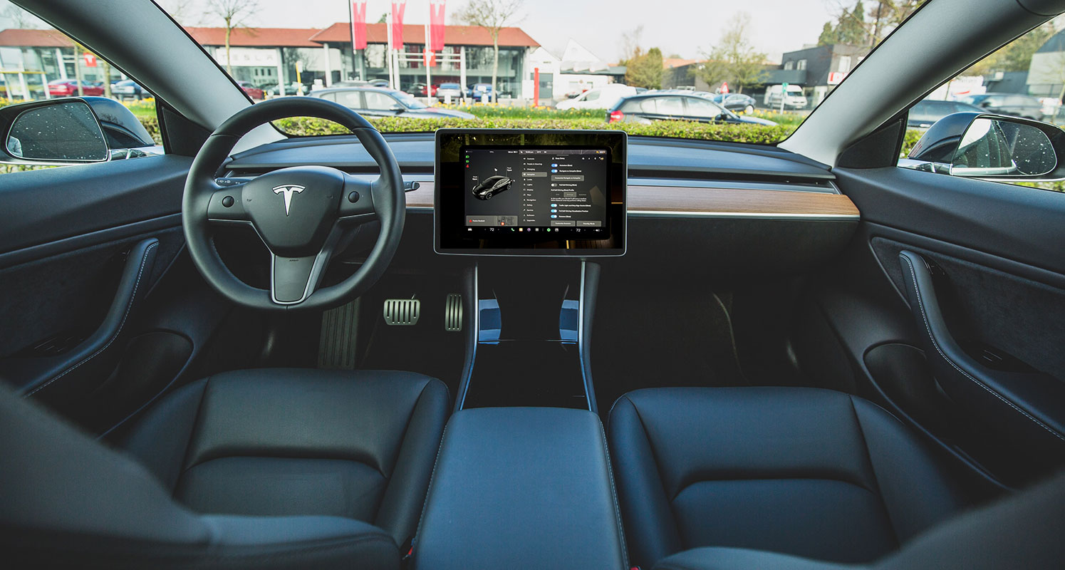 Elon Musk Mode in Telsa Cars Demo