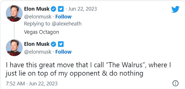 Elon Musk Tweet on Mark Zuckerberg Fight