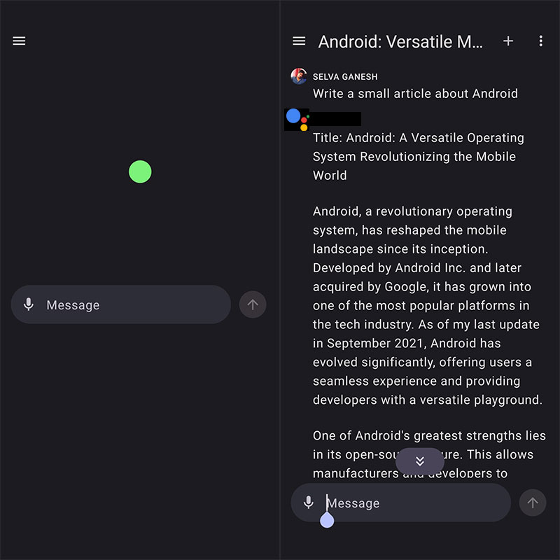 ChatGPT Google Assistant Demo